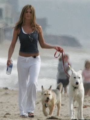 jennifer-aniston-and-dogs-norman-and-dolly